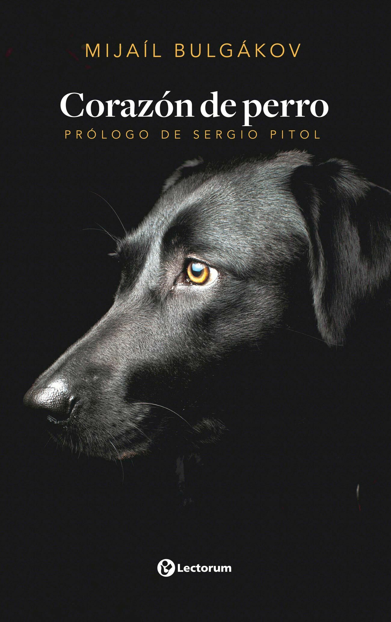 corazón de perro (nueva edición)