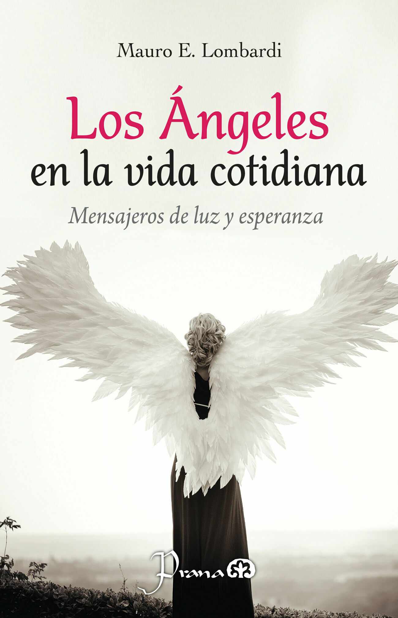 ángeles en la vida cotidiana, los (nueva edición)