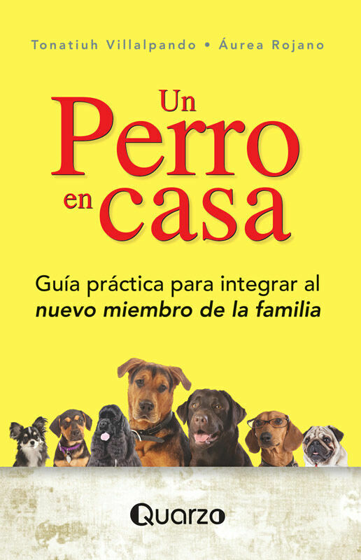 UN PERRO EN CASA