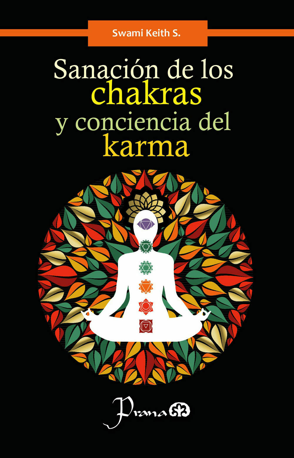 SANACIÓN DE LOS CHAKRAS Y CONCIENCIA DEL KARMA